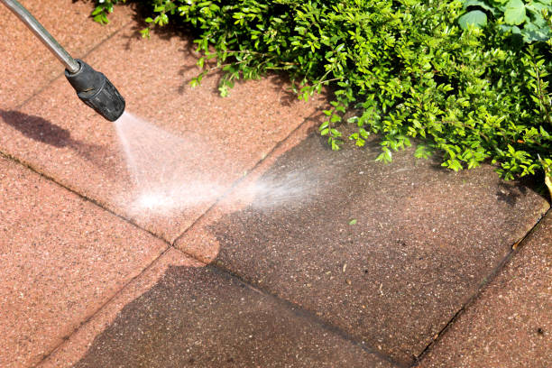 Best Exterior Home Cleaning  in Florin, CA